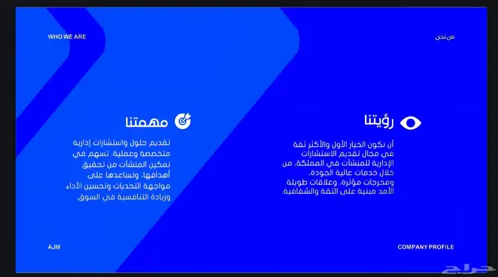 الاستشارات الاداريه 3