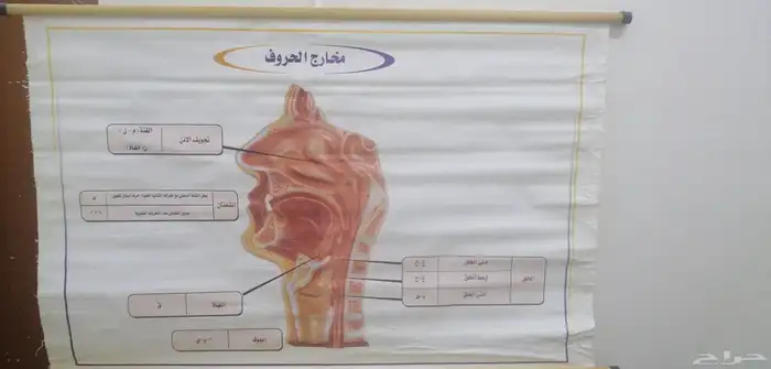 خرائط تعليمية للقارات الدول قديمة 3