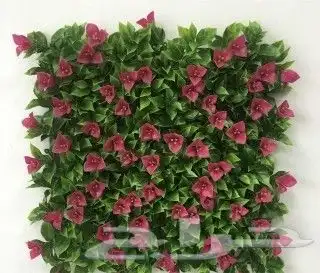 عشب جداري بكل انواعه وطحالب وبادل 6