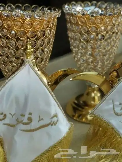 دي جي وضيافة لميس 13