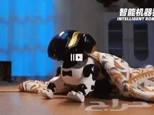 روبوت كلب اليف لطيف وأمان يلعب مع طفلك 4