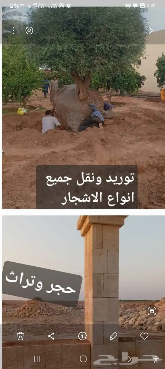 مقاول شبوك ونخيل 6
