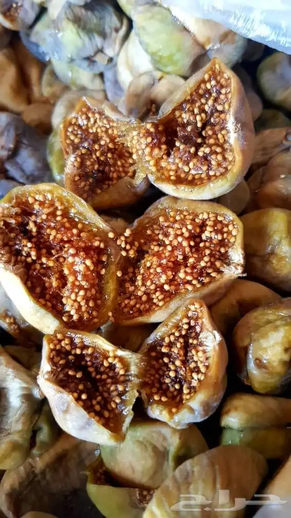 تين مجفف سوري ممتاز ونظيف 1