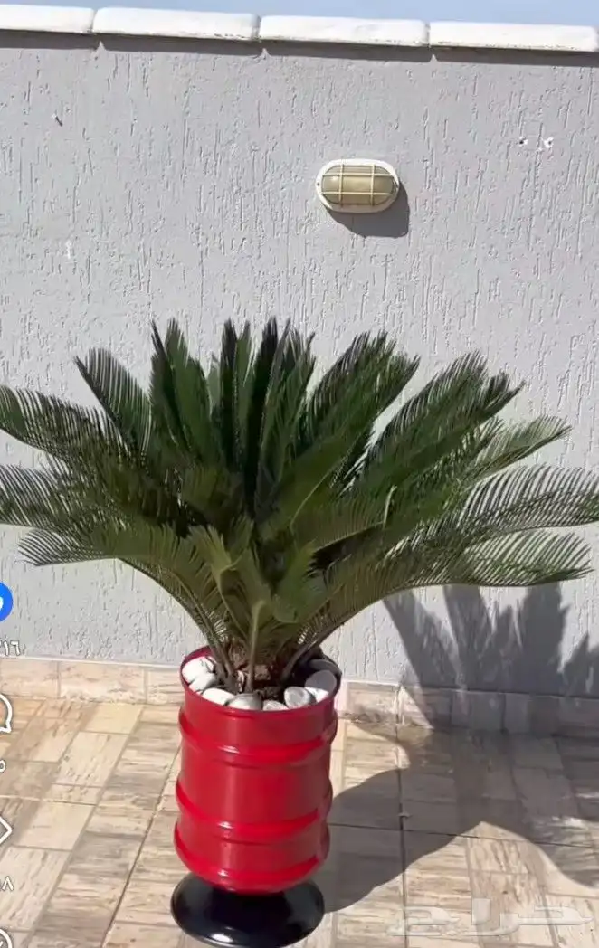 موجود بفضل الله ديكورات منزليه وحدائق وشارع ومزارع وجناين 0
