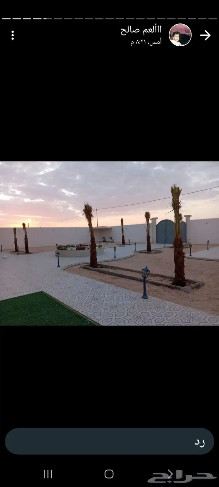 تركيب شبوك وزراعه النخيل والمظلات و خيم 8
