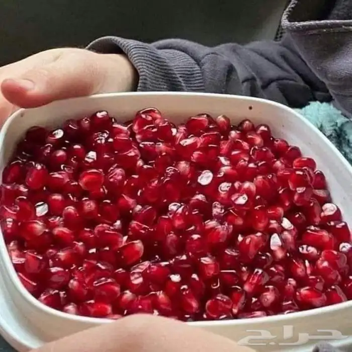 رمان بلدي درجه اولا.. كرتون ثمانيه كيلو سعره 70 0