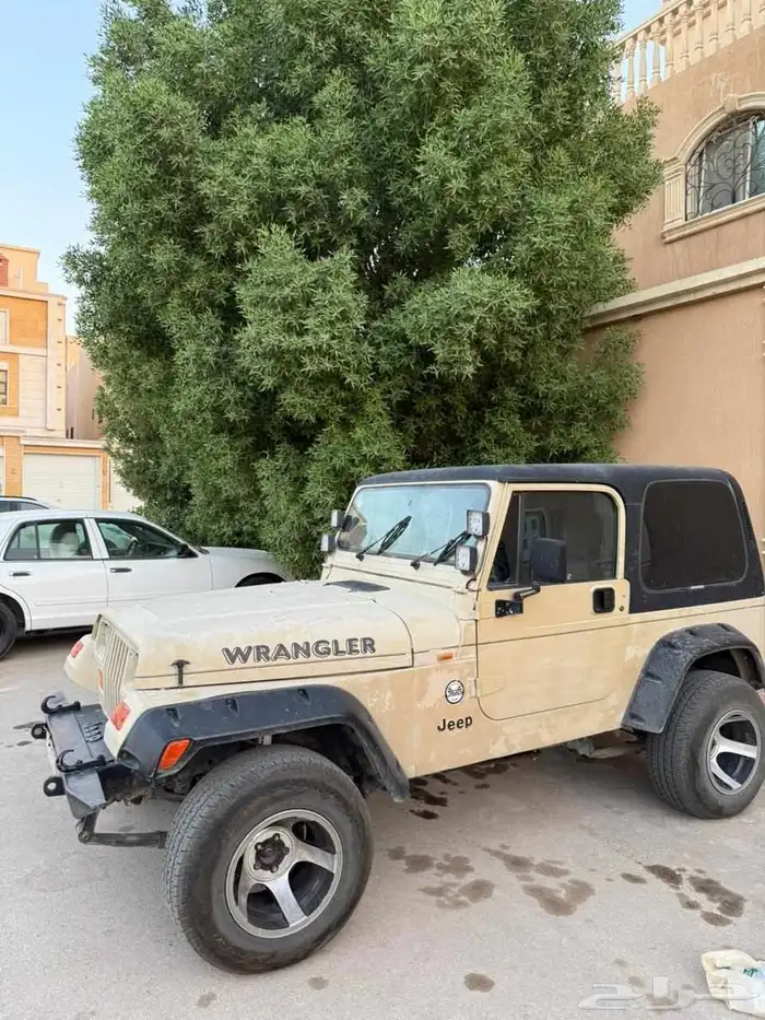 جيب yj 1995 0
