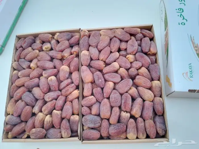 تمر مجدوله درجه اولى للتواصل 0