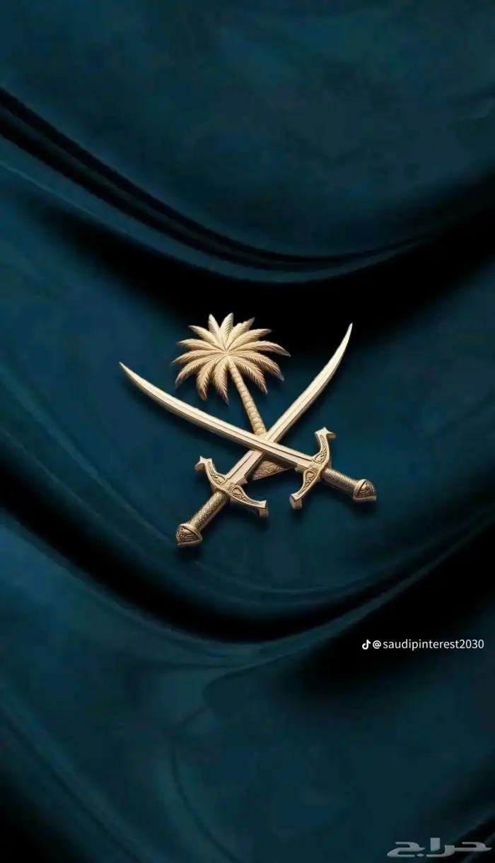 مطلوب شقه صغيره عزاب شرق المدينه 0