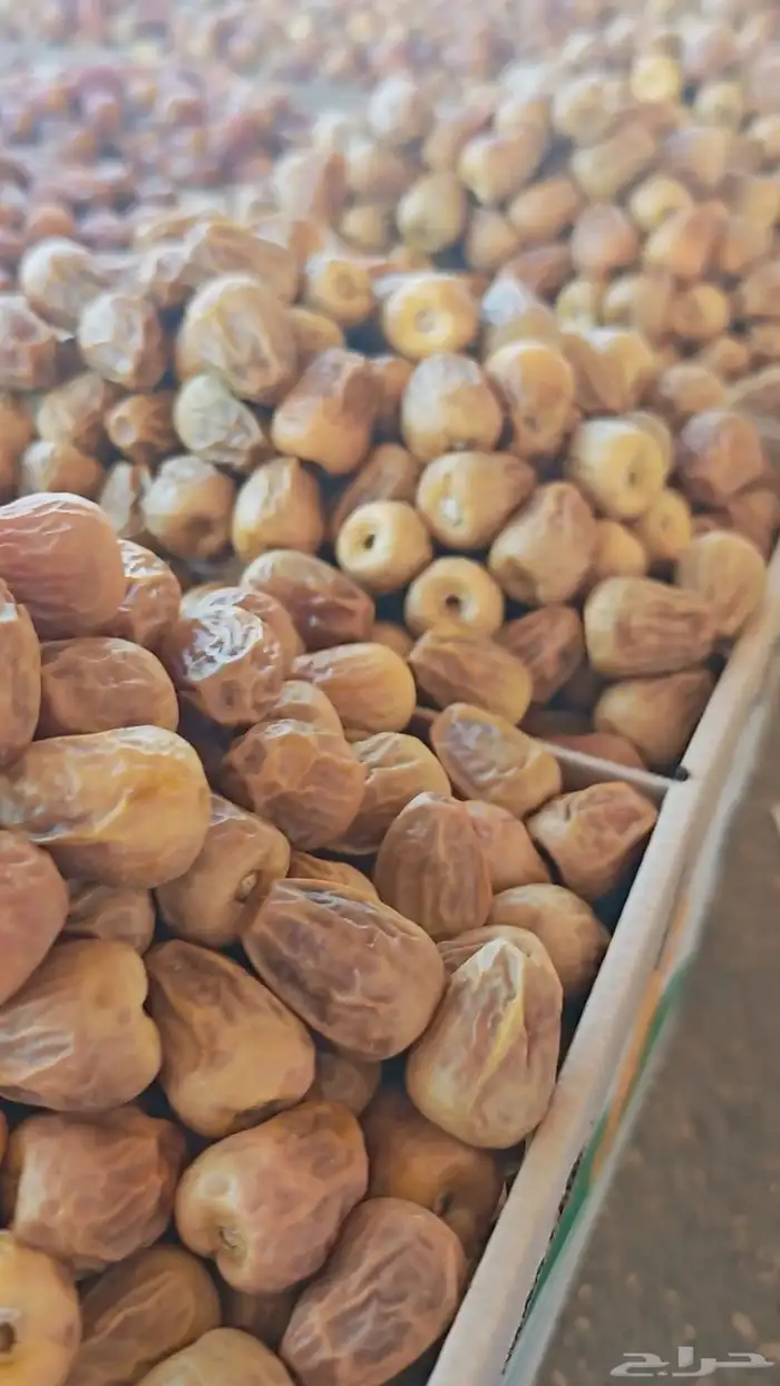 سكري مفتل فاخر 4