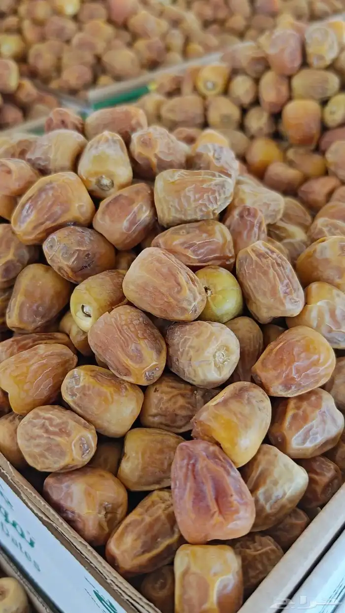 سكري مفتل فاخر 1
