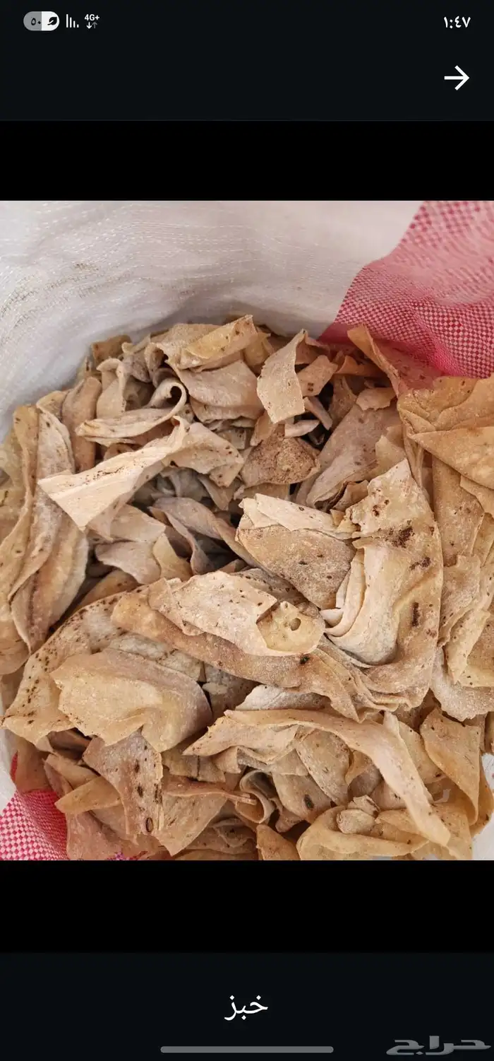 علف خبز الوزن 11الئ12كيلو 0