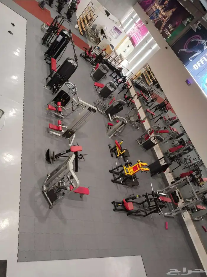 توريد فوري لجميع مناطق المملكة 2