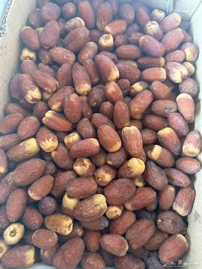 تمور جمله للبيع 1