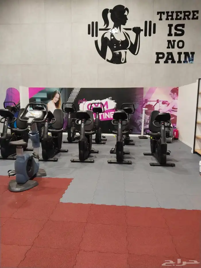 توريد فوري لجميع مناطق المملكة 1