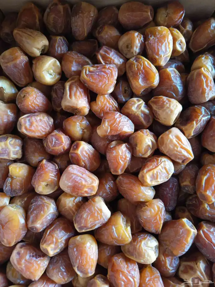 رطب سكري 1