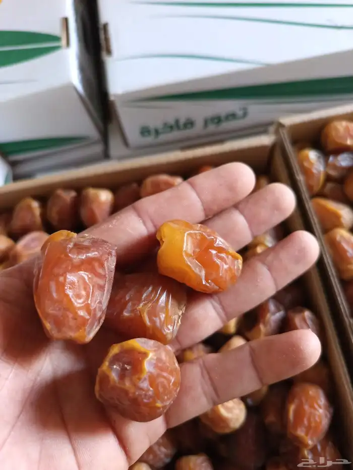 رطب سكري 2