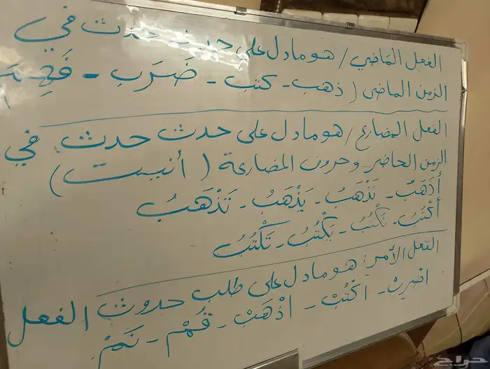 معلم متابعة وتأسيس رياضيات ولغتي ولغة انجليزية 7