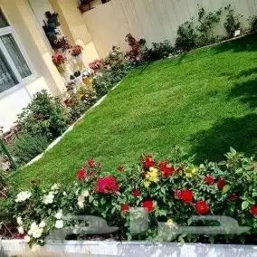 شلالات طبيعيه وزراعة وشبكات ري 10