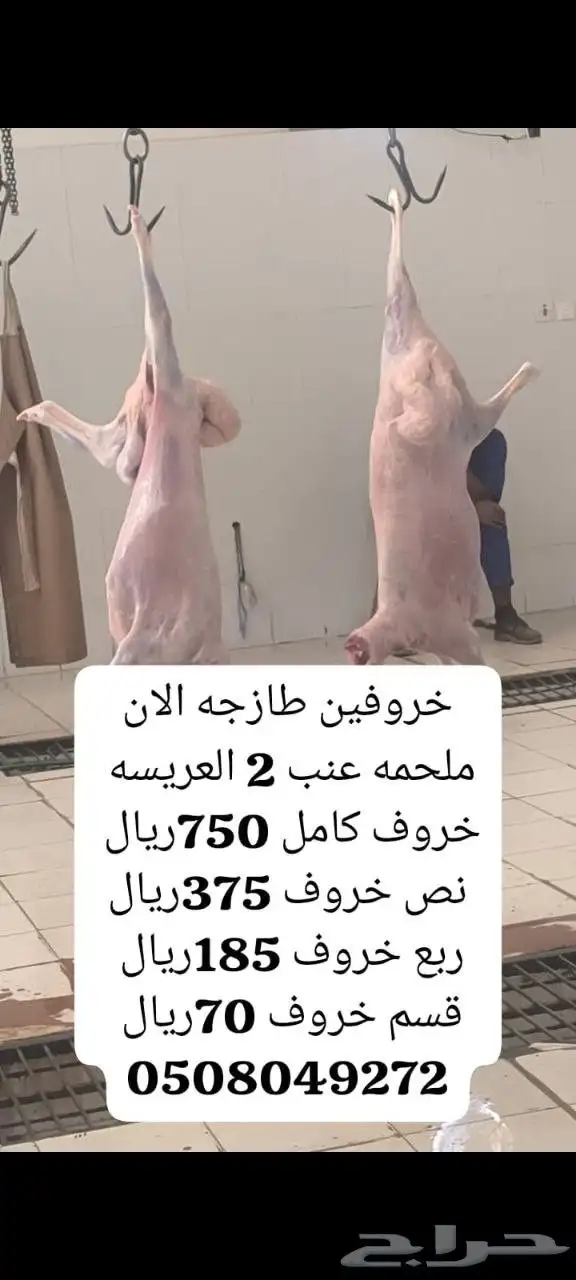 خرفان 750ريال 0