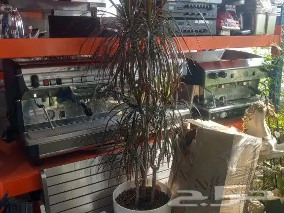 اغراض للبيع بالقطاعي 19