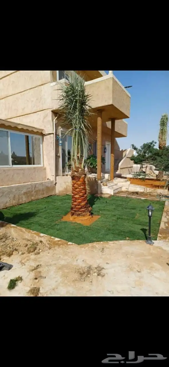 السلام عليكم ورحمة الله وبركاته يوجد لدينا نخيل للبيع 3
