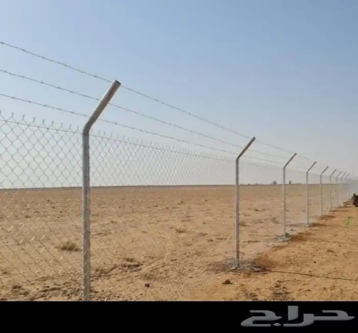 يوجد لدينا فروخ وجميع انواع النخل غار صقر وتكريم وتنظيف 7