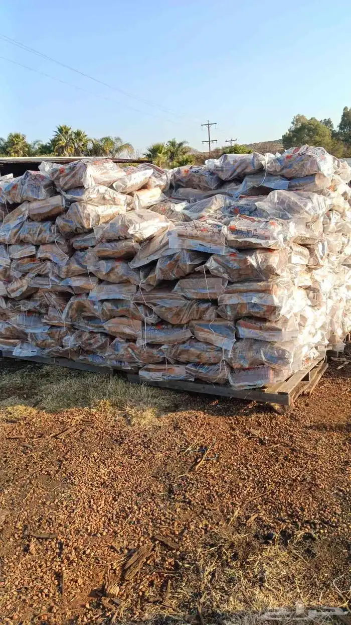 للبيع.. حاوية حطب قرض واصلة للميناء.. شرط 0