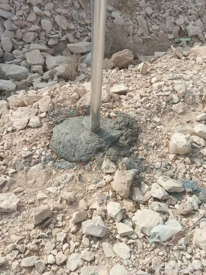 يوجد لدينا فروخ وجميع انواع النخل غار صقر وتكريم وتنظيف 8