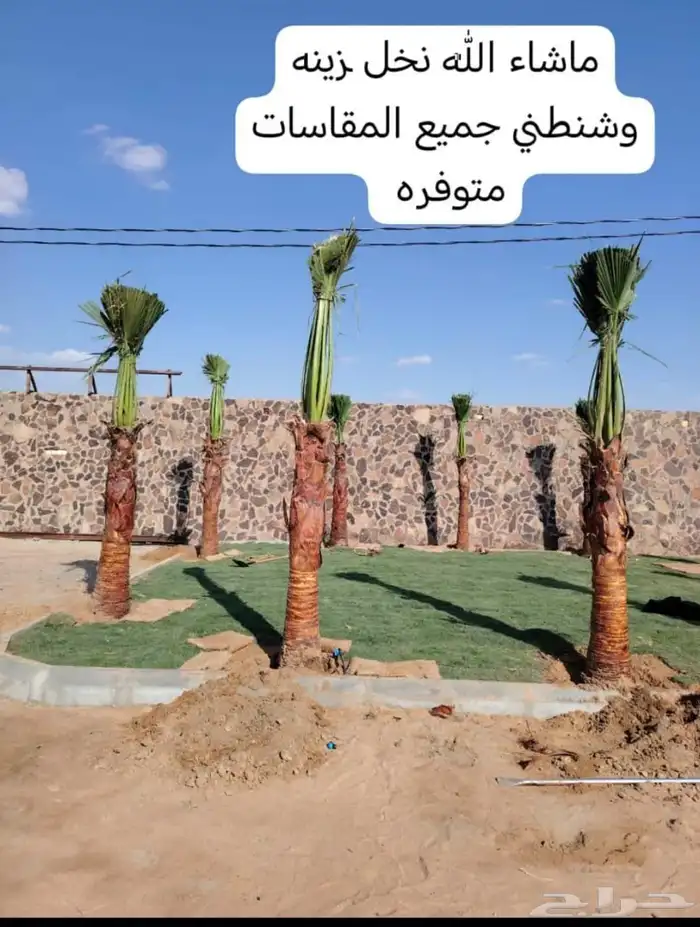 السلام عليكم ورحمه الله عندنا نحل طيب متواجد في مكه 2