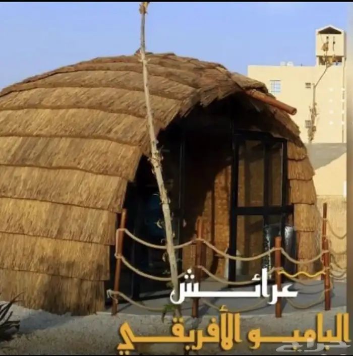 خيزران وعسف وبومبو افريقي وجميع انواعه وشحن لجميع مناطق المم 9