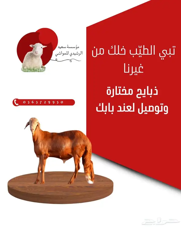 أجود أنواع اللحوم الطازجة يومي ا  مباشرة من المزرعة إلى مائد 0
