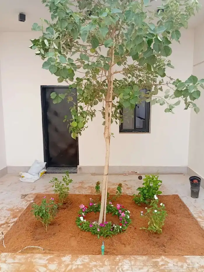 تنسيق حدائق landscape 0