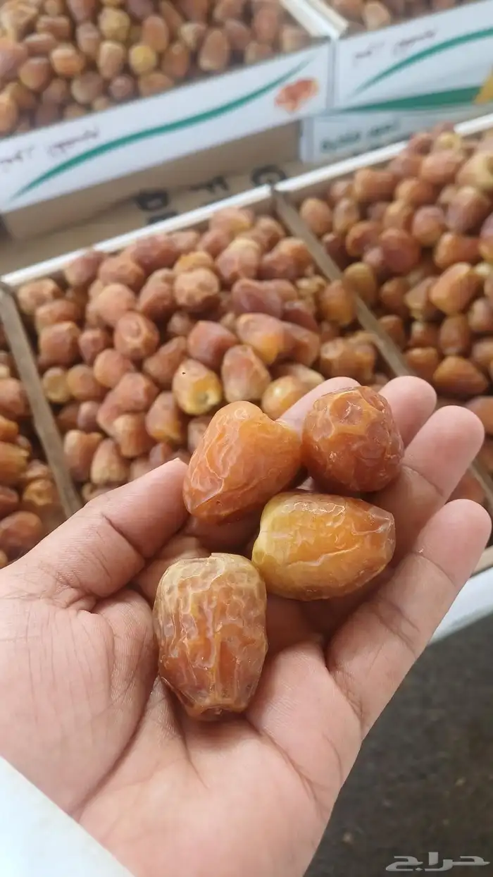 تمور القصيم على الطلب 1
