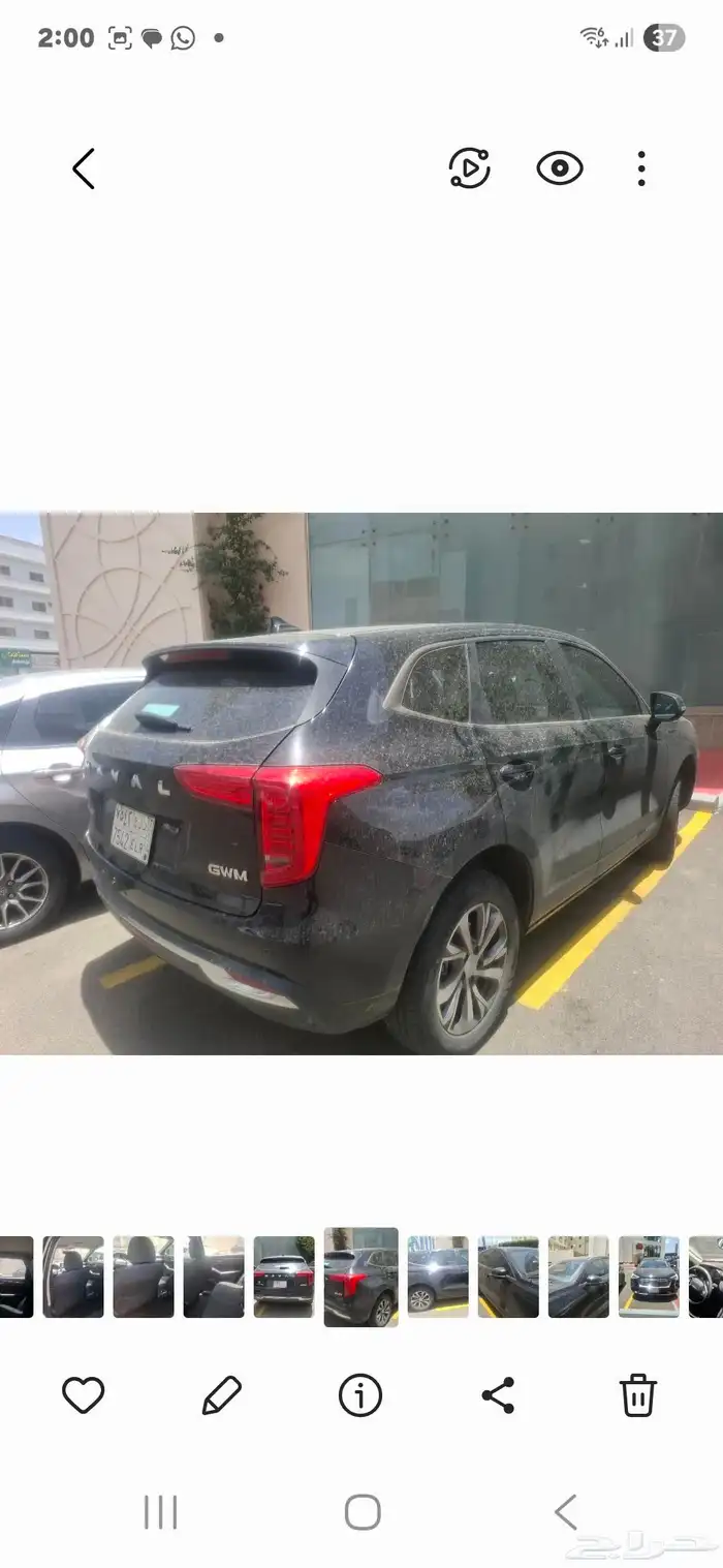 هافال جوليان 2024 1
