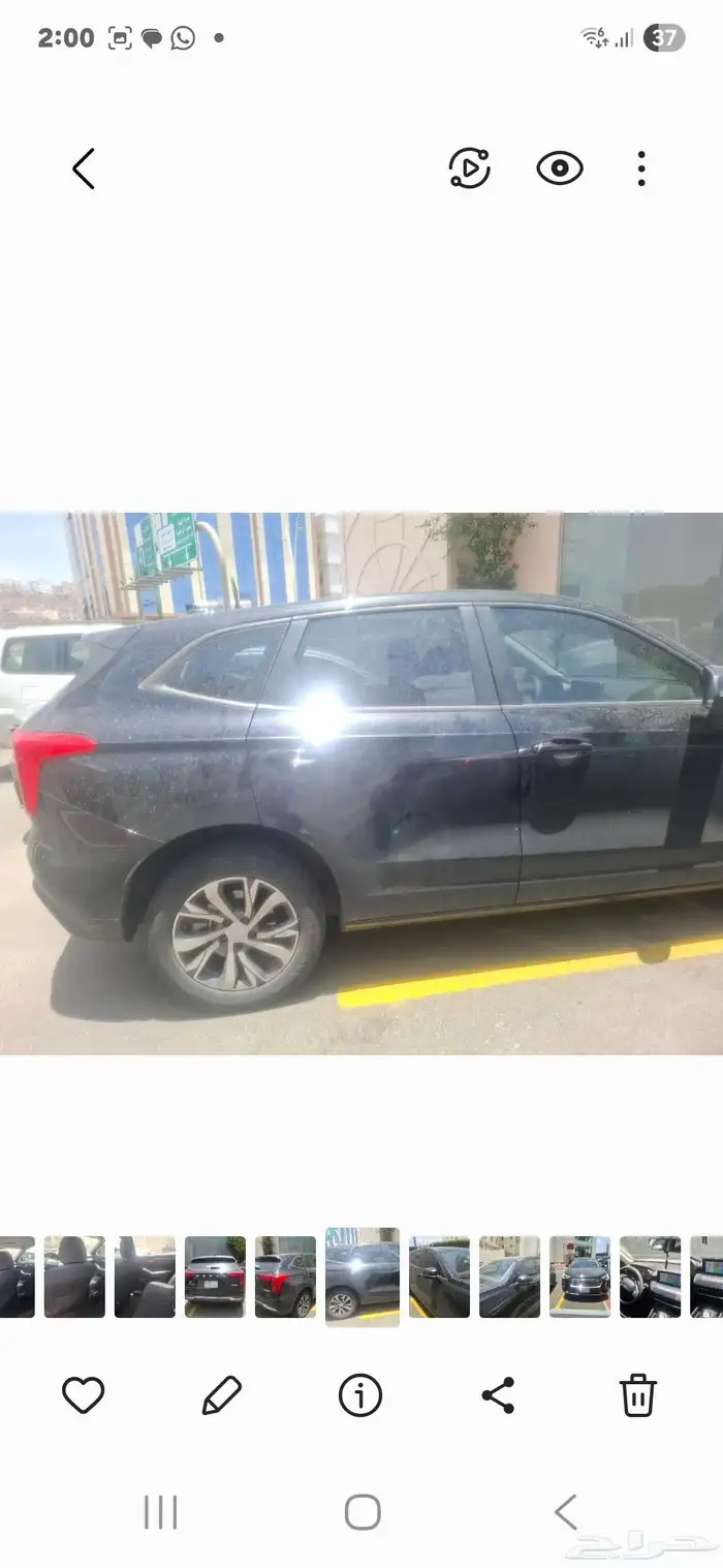 هافال جوليان 2024 2