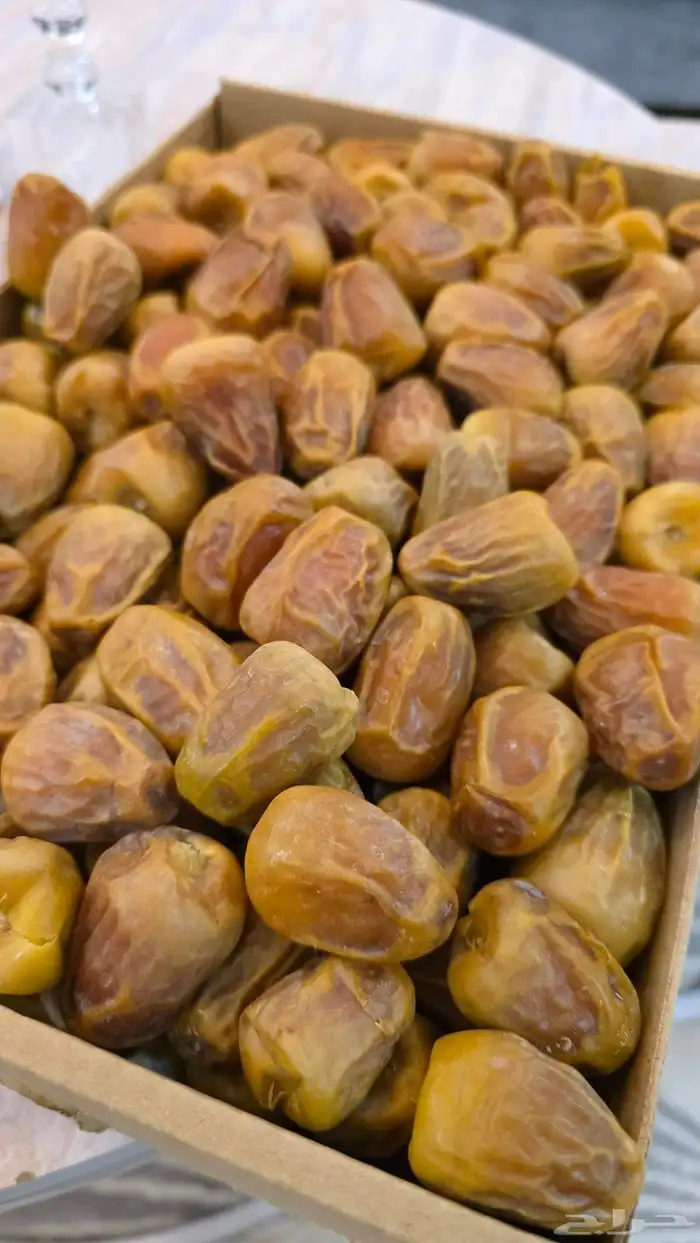تمور القصيم مباشرة من المزرعة 0