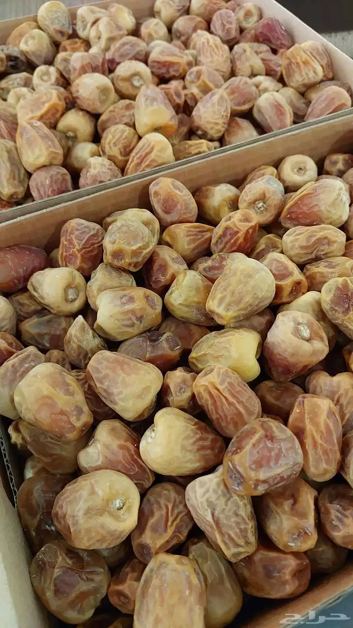 تمر سكري عضوي لعام 1447 1