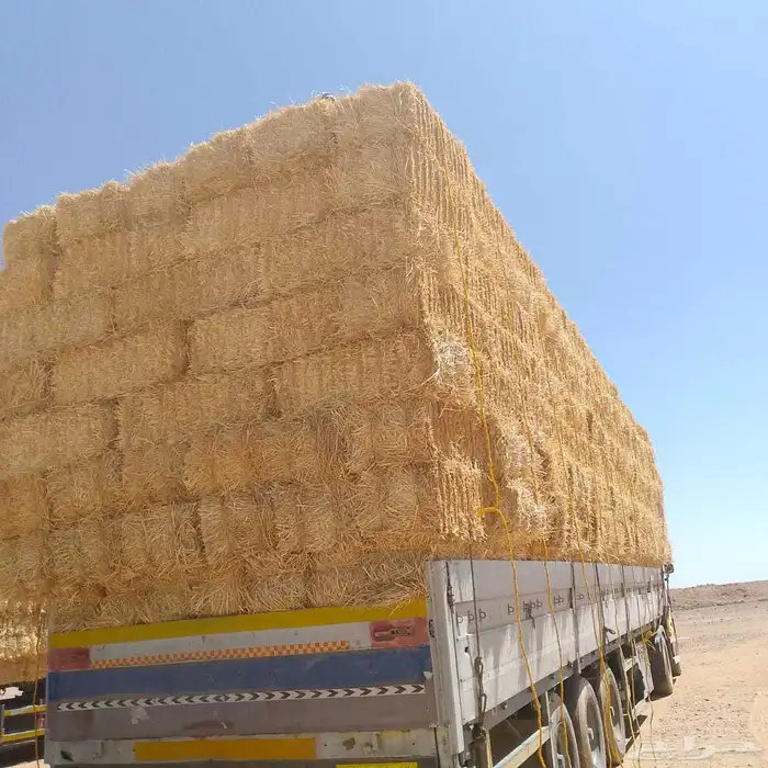 تبن قمح شد جندير ناعم 3