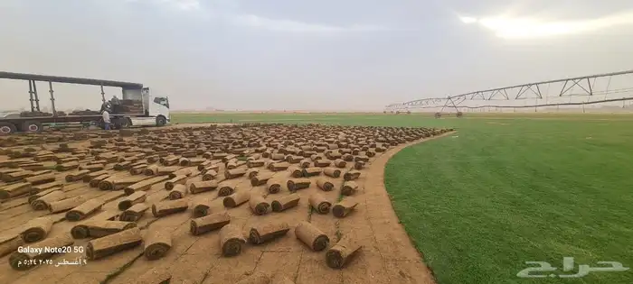 ثيل طبيعي سي الفين 2