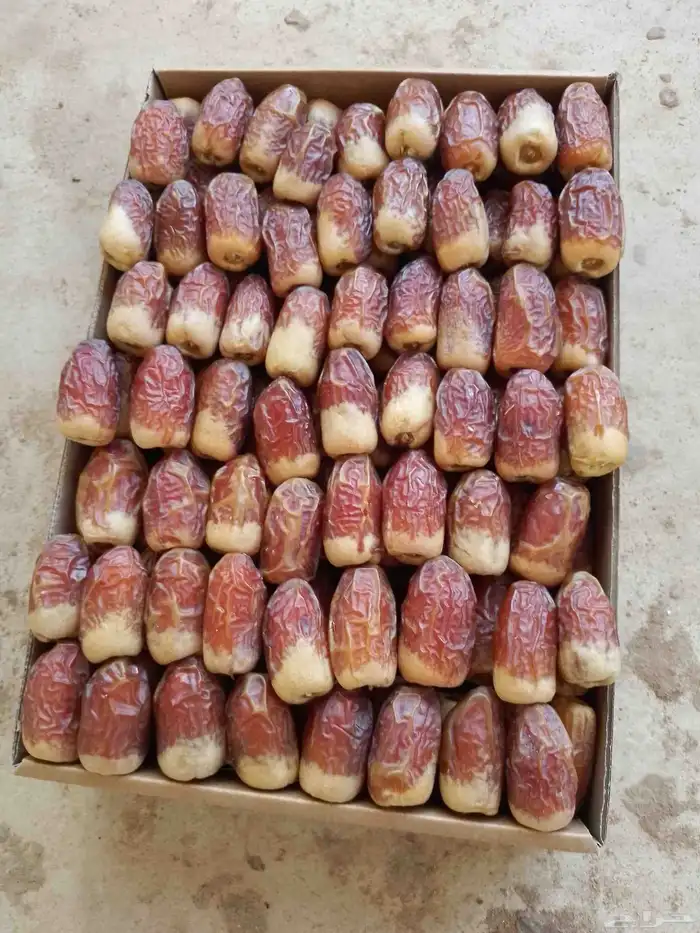 تمر للبيع الصقعي السكري 3