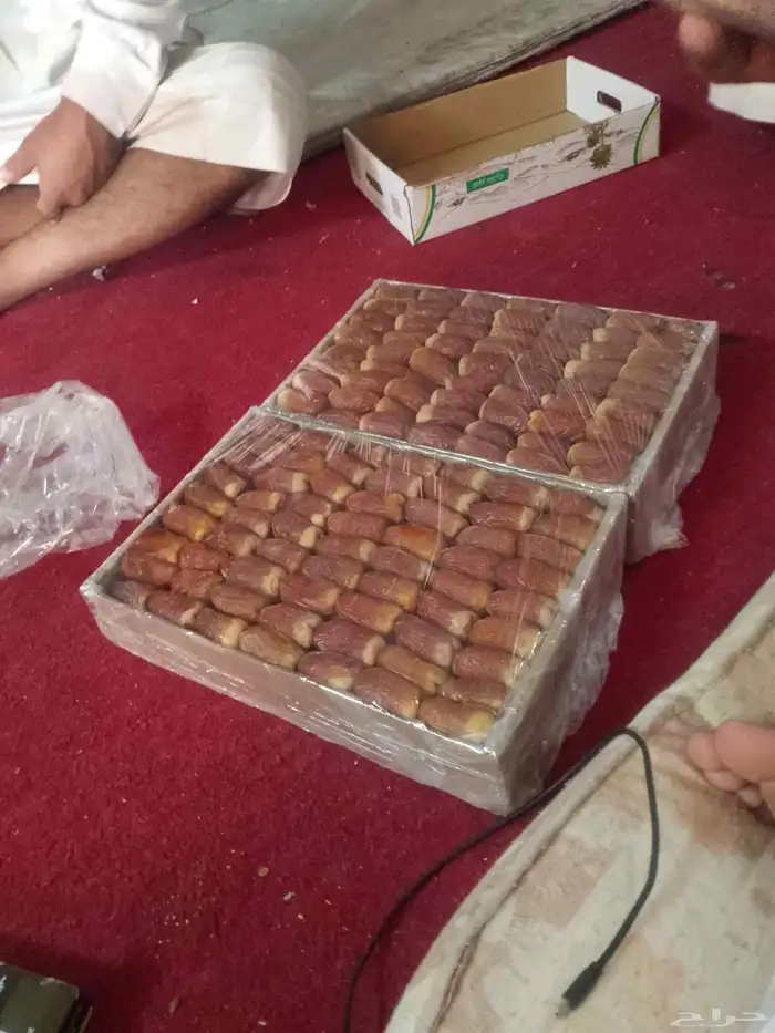 تمر للبيع الصقعي السكري 0