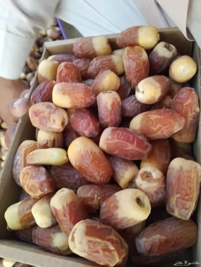 تمر للبيع الصقعي السكري 9