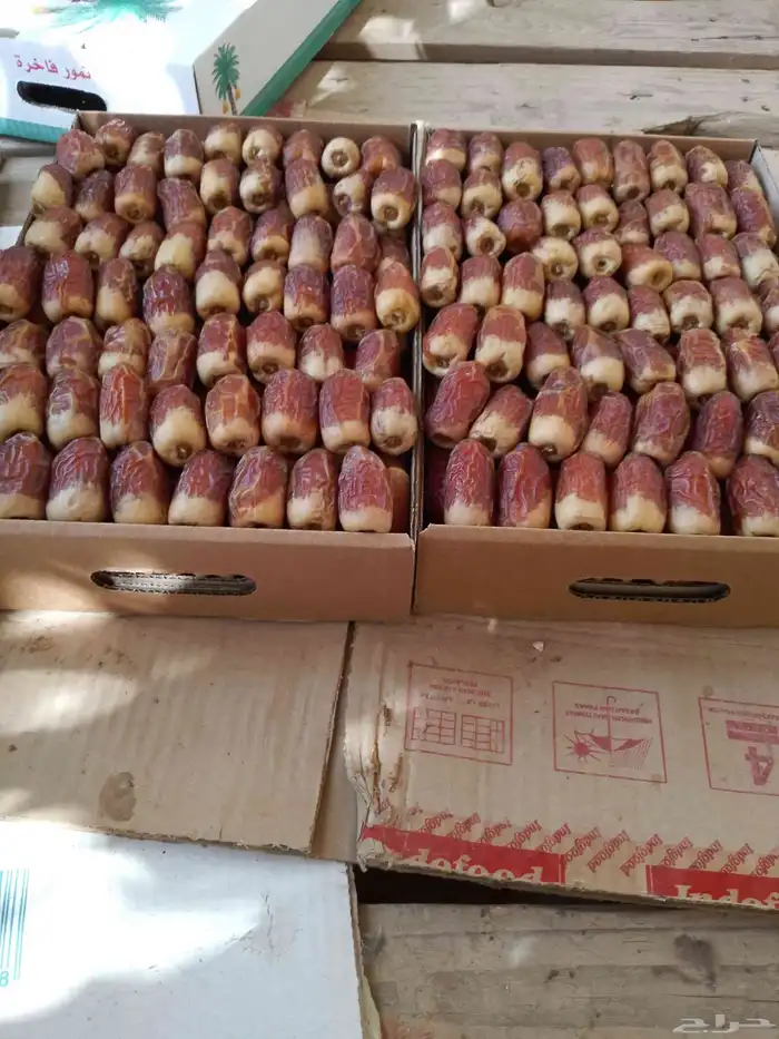 تمر للبيع الصقعي السكري 2