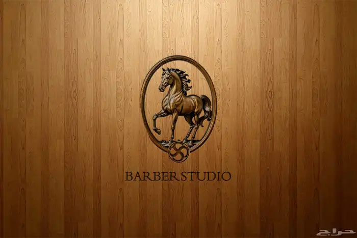 تصميم شعارات احترافية بأسعار رمزية 13