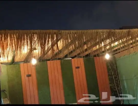 خيزران وعسف وبومبو افريقي وجميع انواعه وشحن لجميع مناطق المم 6