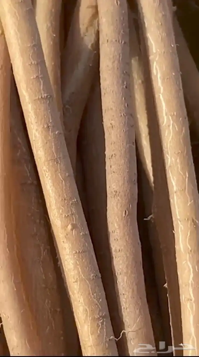 مساويك مسواك سواك بلدي طازج حار شرط للزبون انظر التقييمات 2