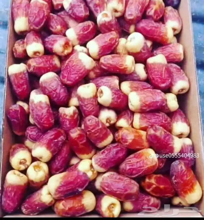 تمر للبيع الصقعي السكري 6