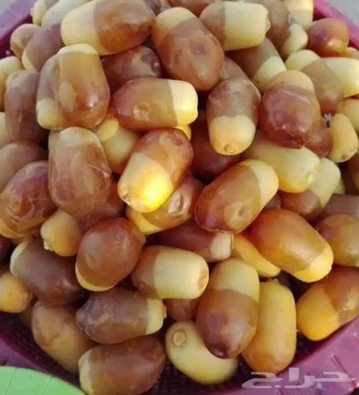 تمر للبيع الصقعي السكري 4