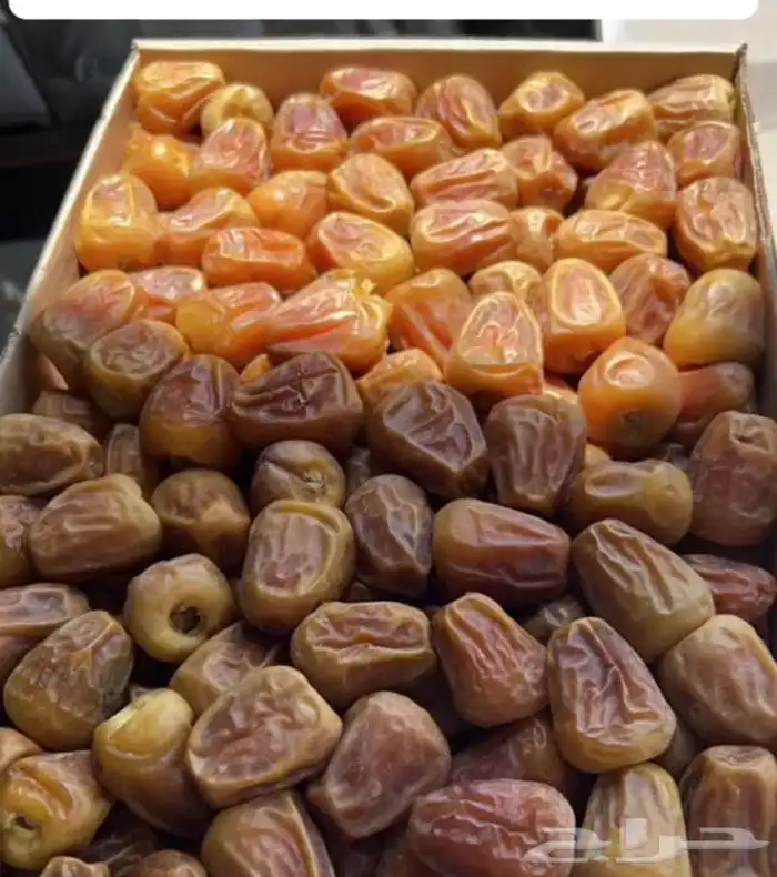 تمر للبيع الصقعي السكري 5